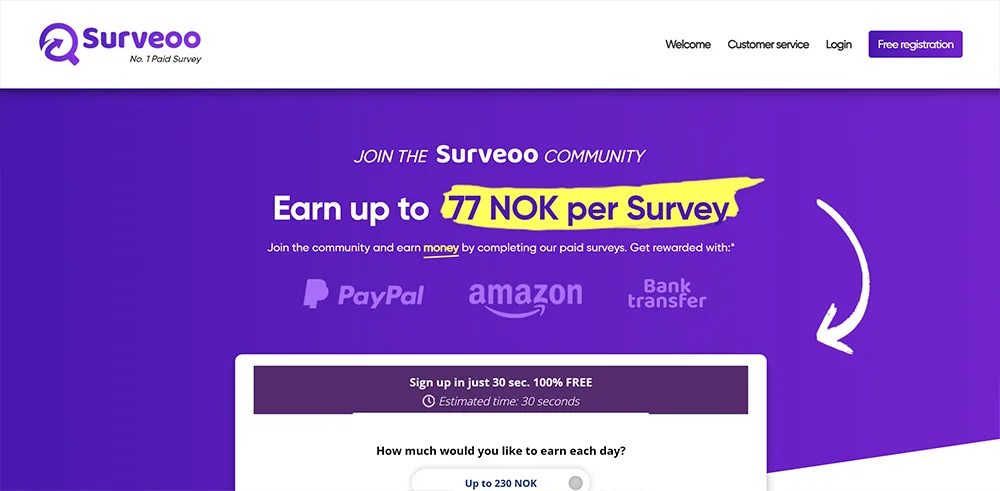 Surveoo lar deg tjene penger hjemmefra. Det virker ihvertfall legitimt.