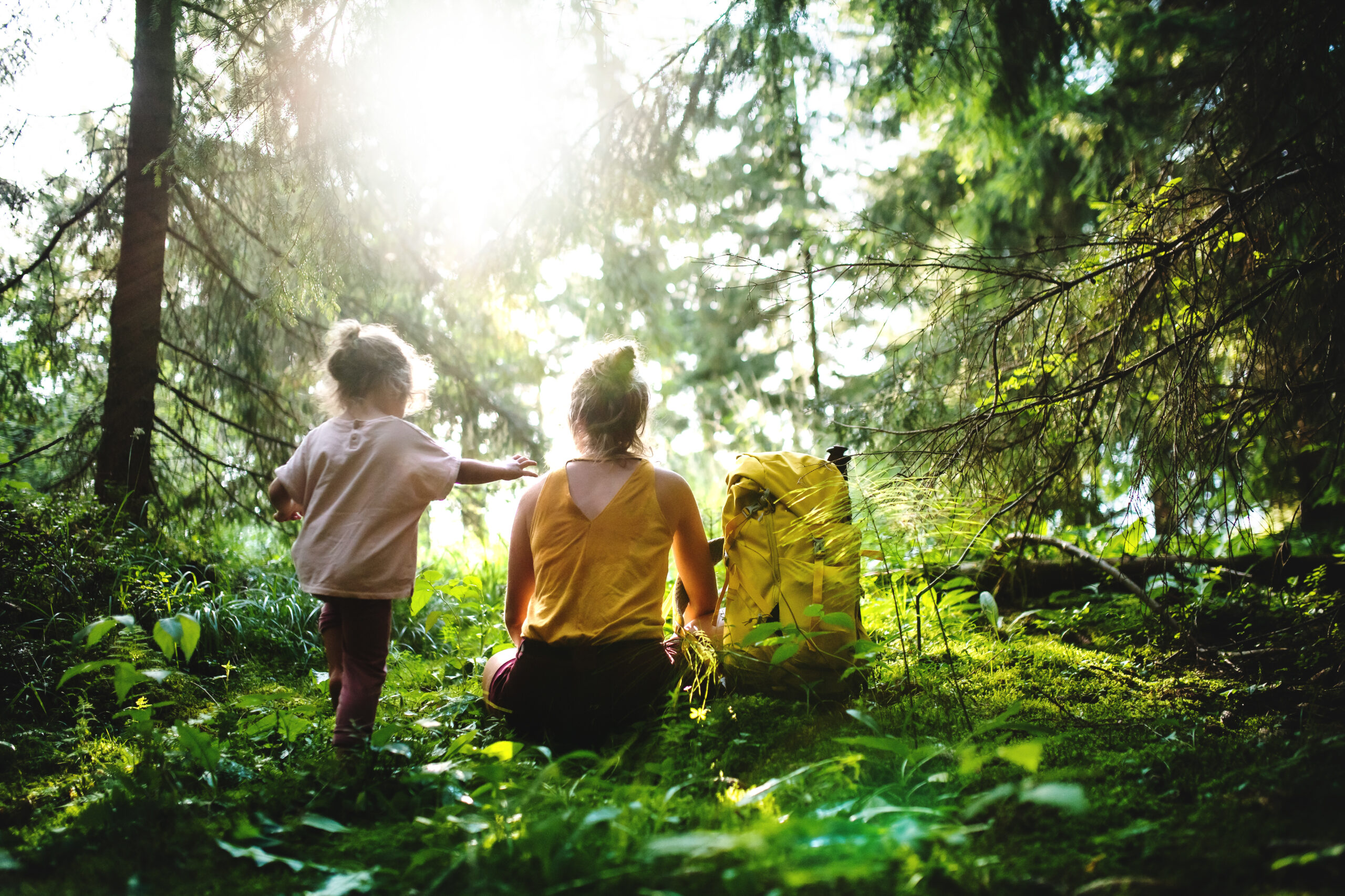 Unngå å få flåttbitt i skogen. FOTO: Envato