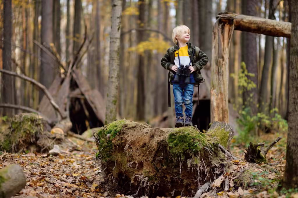 Kikk på fugler i skogen! FOTO: Envato
